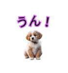 子犬たくさん（個別スタンプ：17）