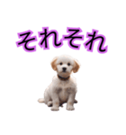 子犬たくさん（個別スタンプ：18）