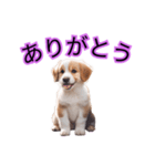 子犬たくさん（個別スタンプ：21）