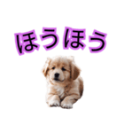 子犬たくさん（個別スタンプ：22）