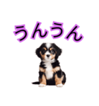 子犬たくさん（個別スタンプ：25）