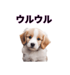 子犬たくさん（個別スタンプ：31）