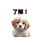 子犬たくさん（個別スタンプ：34）