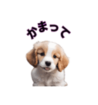 子犬たくさん（個別スタンプ：35）