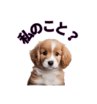 子犬たくさん（個別スタンプ：37）