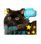 黒猫 ルナ院長157にゃんめ（個別スタンプ：6）