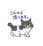 【猫】かけひろりん。3【ねこ】（個別スタンプ：14）