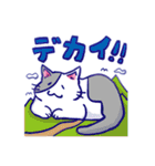 【猫】かけひろりん。3【ねこ】（個別スタンプ：31）