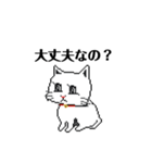 シロコロピクセル(シロスケ)（個別スタンプ：3）