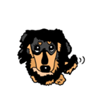 ダックスのリンク文字なしver.(dachshund)（個別スタンプ：6）