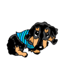 ダックスのリンク文字なしver.(dachshund)（個別スタンプ：21）