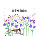 秋の花と猫、文字は自由に。（個別スタンプ：1）