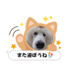 スタンプーのあられちゃんスタンプ（個別スタンプ：28）