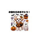 もふもふマルプーのルルちゃん ハロウィン（個別スタンプ：4）