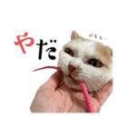 ごきげんらぐちゃん(日常)（個別スタンプ：3）