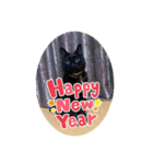 なりんち黒猫とポメラニアンのカイくん②（個別スタンプ：2）