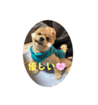 なりんち黒猫とポメラニアンのカイくん②（個別スタンプ：18）