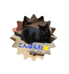 なりんち黒猫とポメラニアンのカイくん②（個別スタンプ：26）
