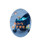 なりんち黒猫とポメラニアンのカイくん②（個別スタンプ：35）