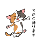 猫さんの平凡な日常（個別スタンプ：7）