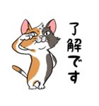 猫さんの平凡な日常（個別スタンプ：10）