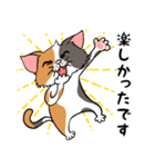 猫さんの平凡な日常（個別スタンプ：12）