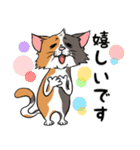 猫さんの平凡な日常（個別スタンプ：13）