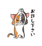 猫さんの平凡な日常（個別スタンプ：16）