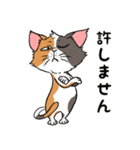 猫さんの平凡な日常（個別スタンプ：17）