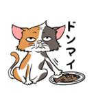 猫さんの平凡な日常（個別スタンプ：19）