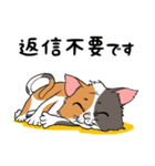 猫さんの平凡な日常（個別スタンプ：21）