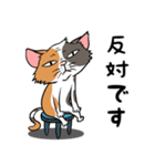 猫さんの平凡な日常（個別スタンプ：24）