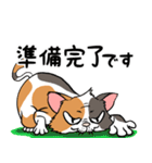 猫さんの平凡な日常（個別スタンプ：25）