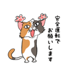 猫さんの平凡な日常（個別スタンプ：26）