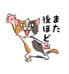 猫さんの平凡な日常（個別スタンプ：27）