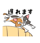 猫さんの平凡な日常（個別スタンプ：29）