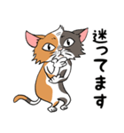 猫さんの平凡な日常（個別スタンプ：30）