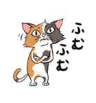 猫さんの平凡な日常（個別スタンプ：35）