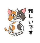 猫さんの平凡な日常（個別スタンプ：37）