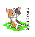 猫さんの平凡な日常（個別スタンプ：38）