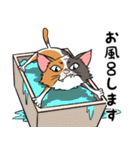 猫さんの平凡な日常（個別スタンプ：39）