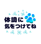 心安らぐ神秘的な青の肉球（個別スタンプ：20）