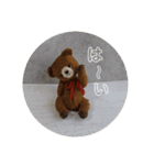 毎日teddy bear（個別スタンプ：18）