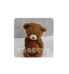 毎日teddy bear（個別スタンプ：23）