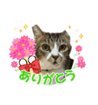 ゆずくるみるっさん（個別スタンプ：13）