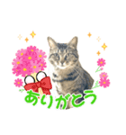 ゆずくるみるっさん（個別スタンプ：14）