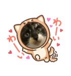 ゆずくるみるっさん（個別スタンプ：18）