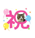 ゆずくるみるっさん（個別スタンプ：19）