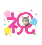 ゆずくるみるっさん（個別スタンプ：20）