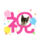ゆずくるみるっさん（個別スタンプ：21）